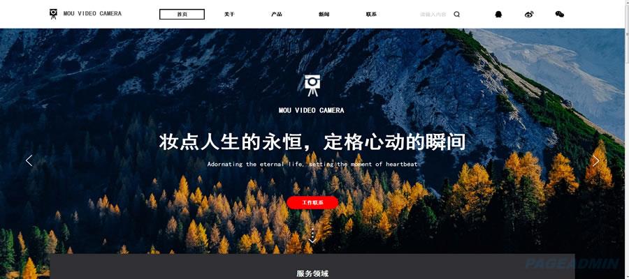 大众型网络平台一般的有
哪些结构